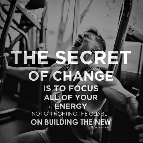 The secret of change is to focus all of your energy not on fighting the old but on building the new.