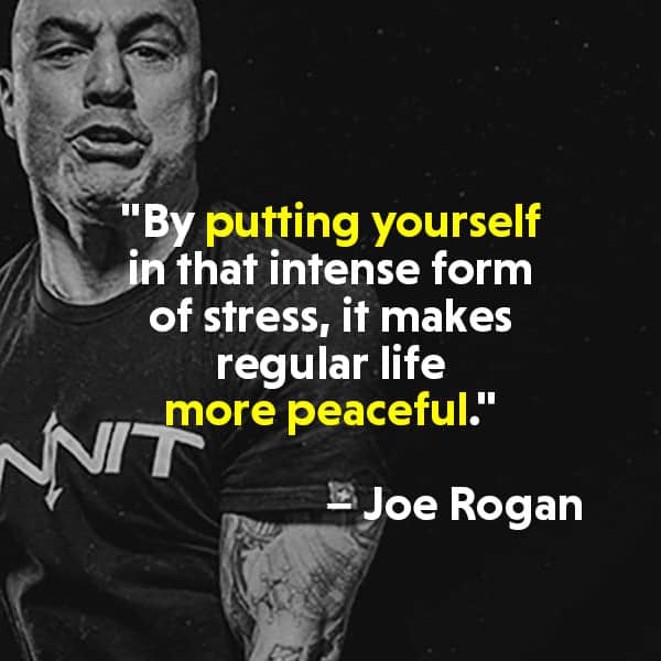 Joe Rogan Quotes, quotes by Joe Rogan