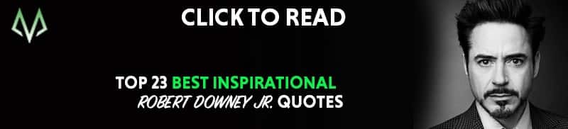 Robert Downey Jr quotes