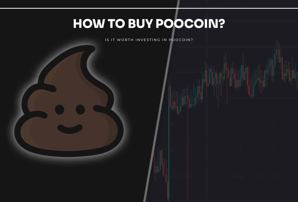 how to buy poocoin guide