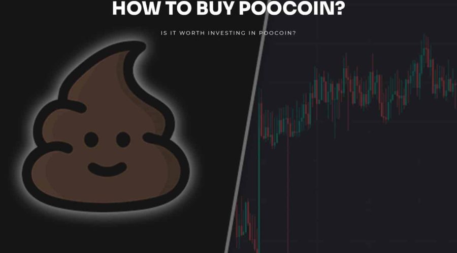 how to buy poocoin guide