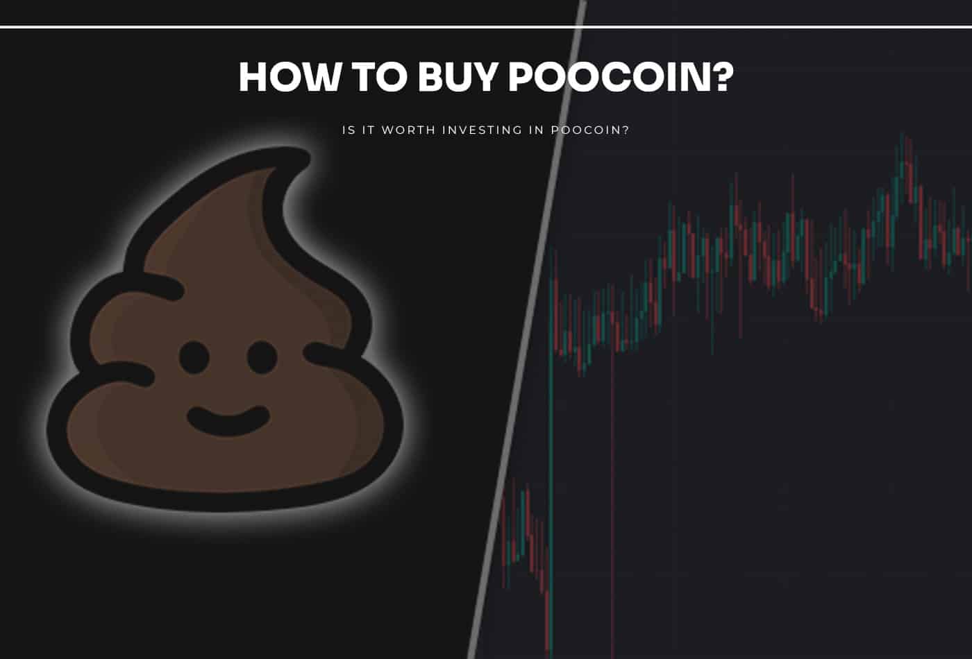How To Buy Poocoin? – A Complete Guide To The Unusual Crypto