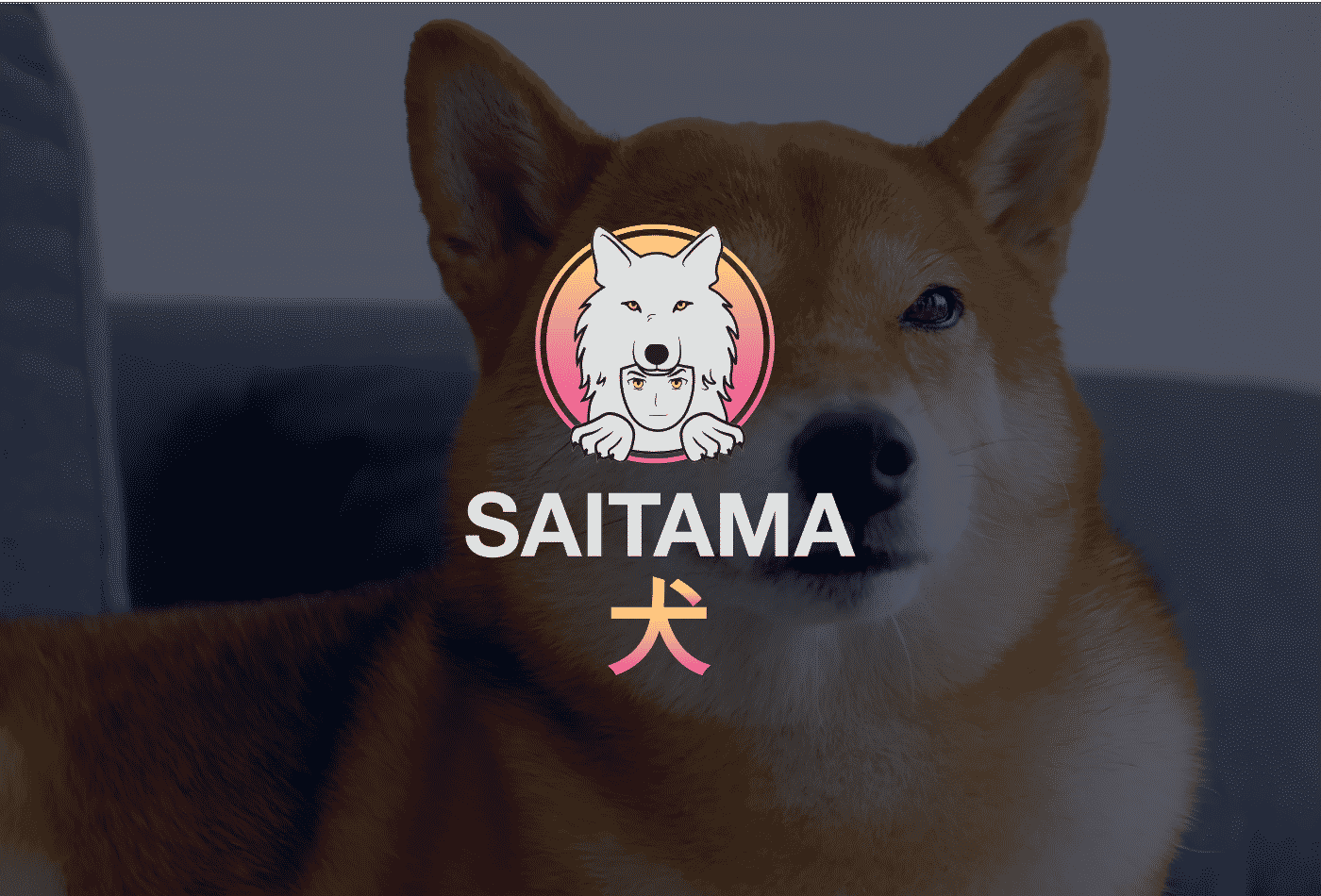 saitama price prediction