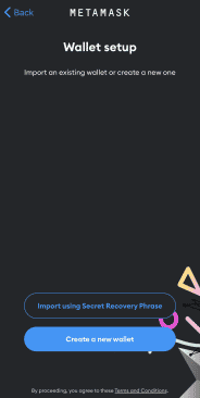 metamask mobile app wallet setup import screen, image