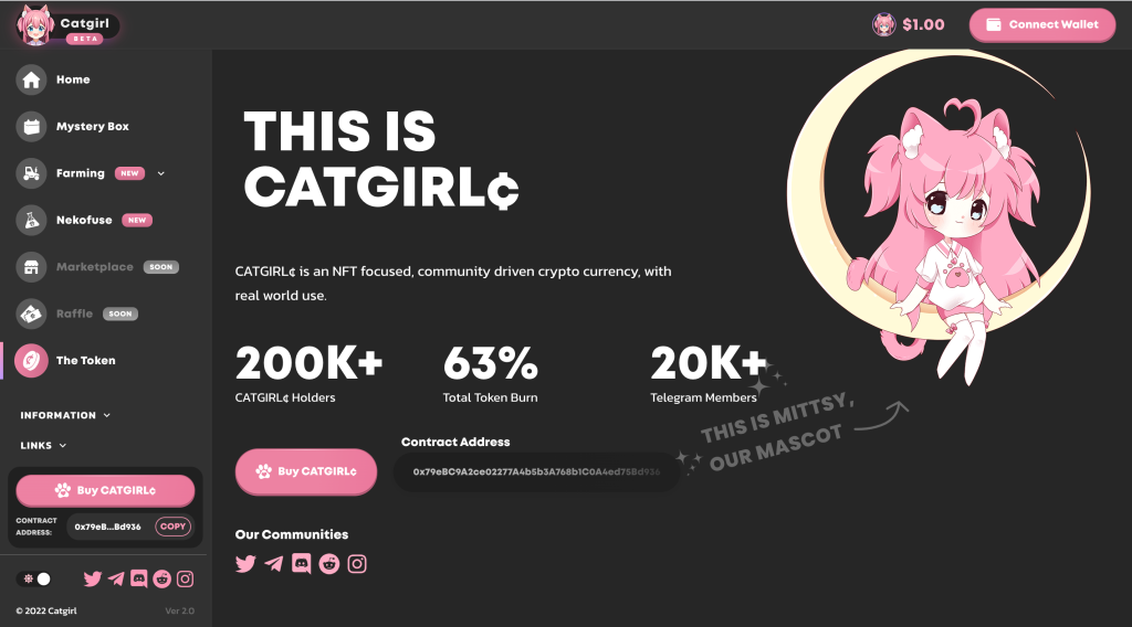 catgirl website showing the token