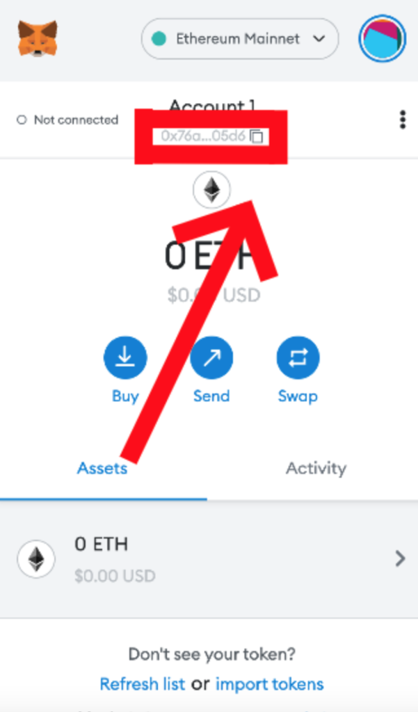 step 6, metamask extension public key location 