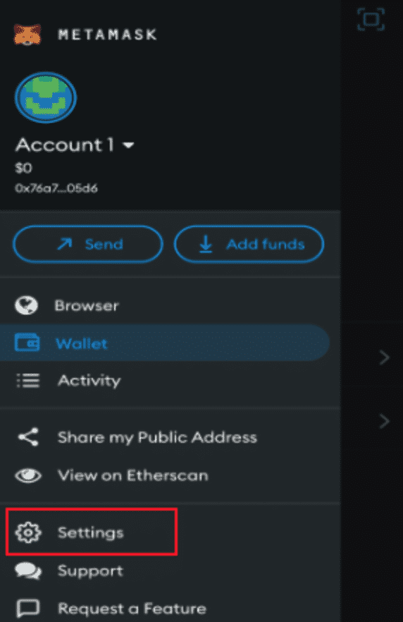 settings button metamask