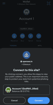 metamask mobile app connection screen, how to connect metamask to opensea, image