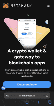 metamask wallet mobile homepage, image