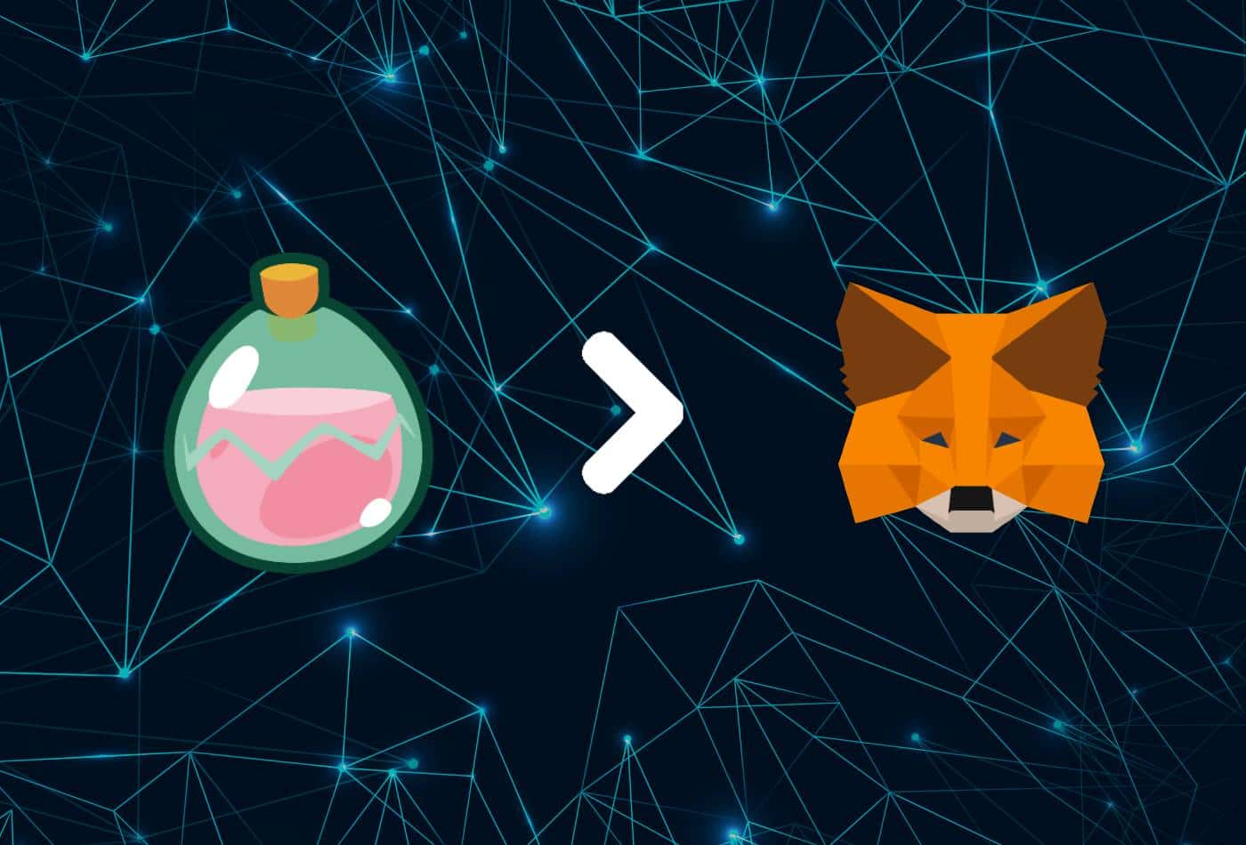 How To Add SLP To MetaMask – The Best & Fastest Method