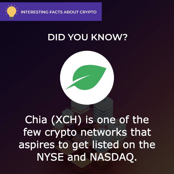 chia network interesting fact