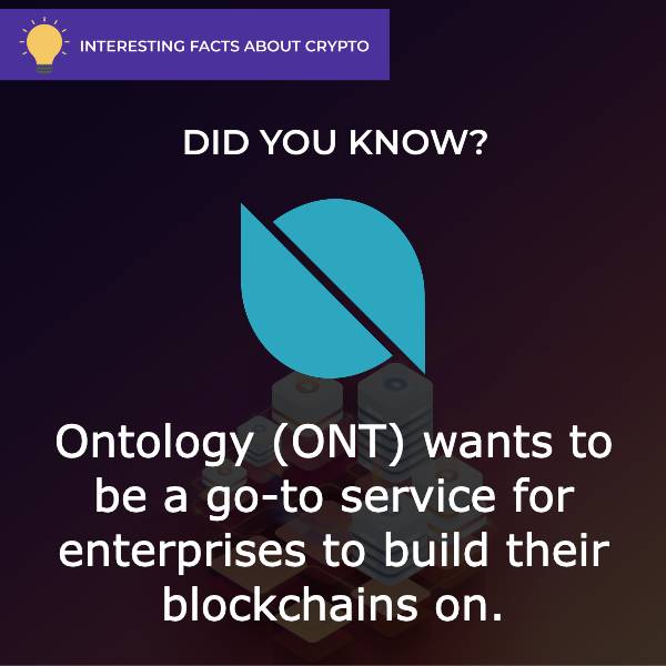 Ontology (ONT) Interesting Facts