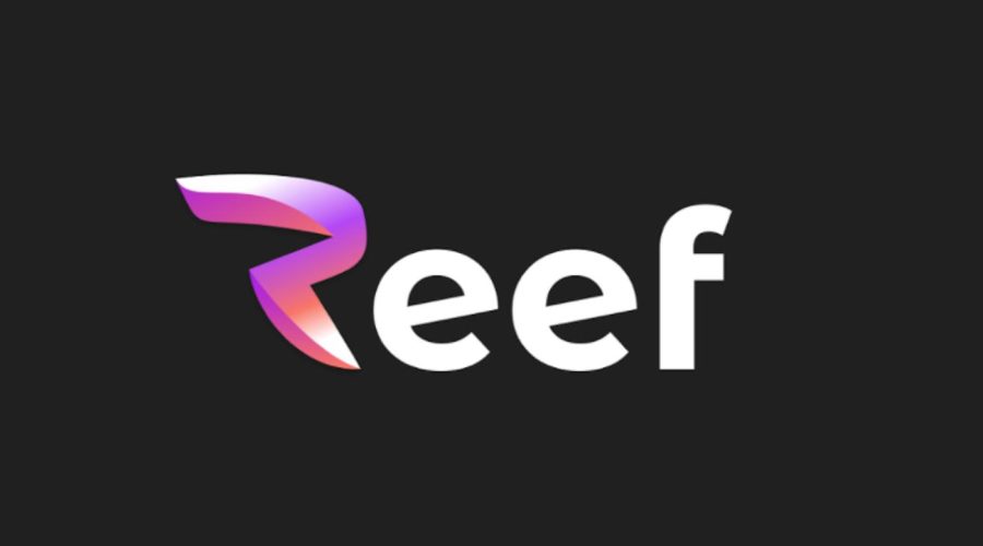 Reef price prediction