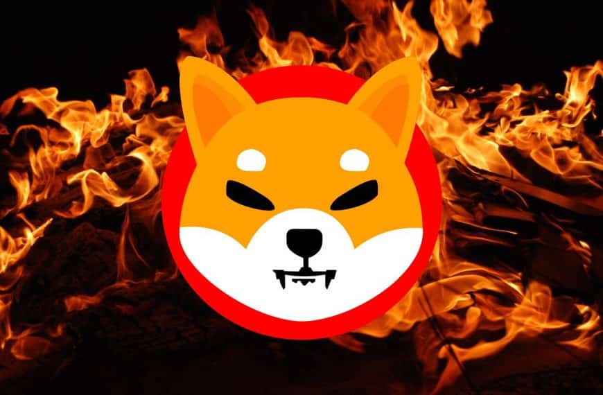 Shiba Inu’s Price Expected To Skyrocket As Burn Rate Nears 50%