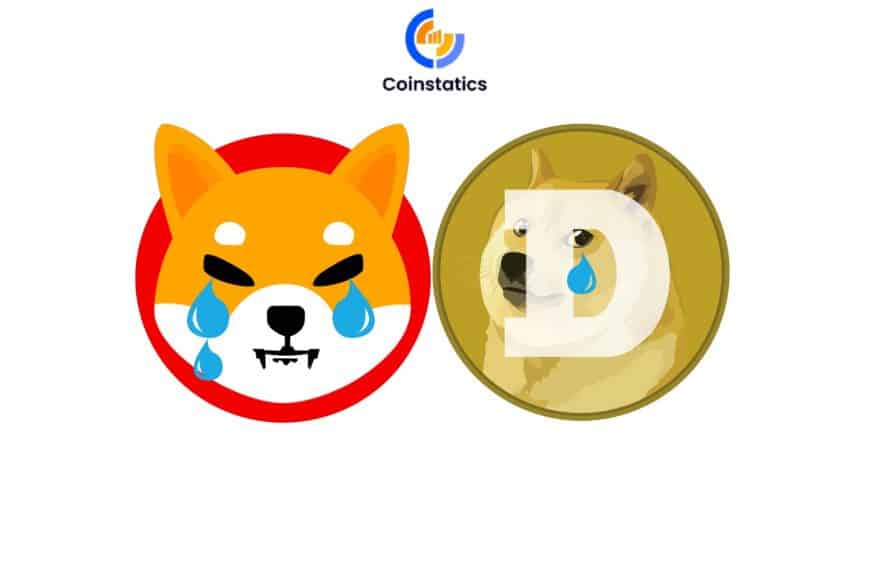 Big Tumble – DOGE & SHIB Experiencing Correction, What’s Next?